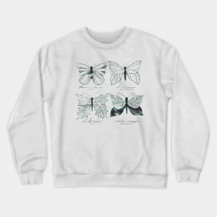 Seasons Change Crewneck Sweatshirt